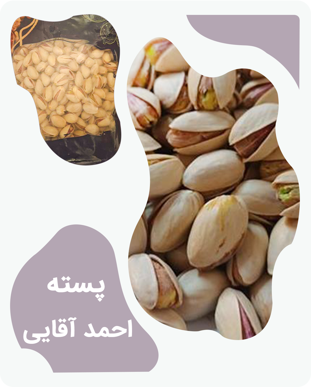 پسته احمد اقایی